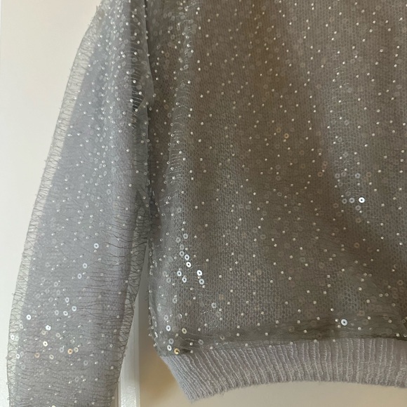 Zara Silver Sequin Sheer Long-Sleeve Top, Brand New, No Sticker - Picture 4 of 7